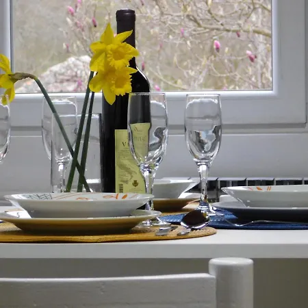 Gavro * Bajina Basta