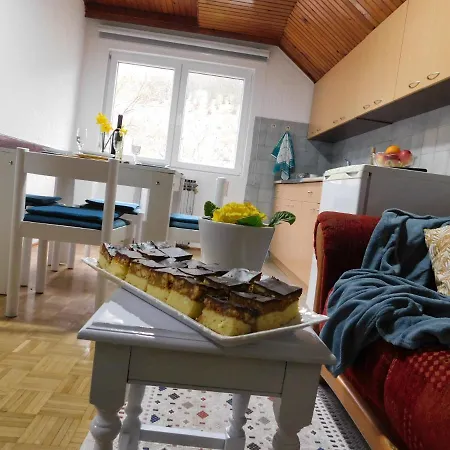 Apartment Gavro Bajina Basta