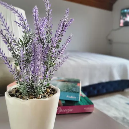 Gavro Apartment *