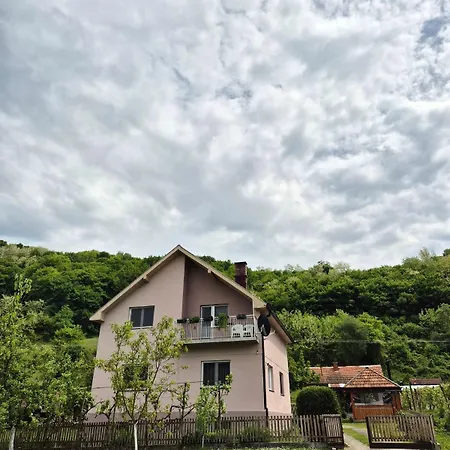 Gavro Apartment Bajina Basta