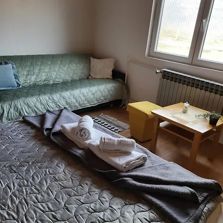 Gavro * Bajina Basta